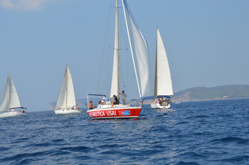 DSC 0229