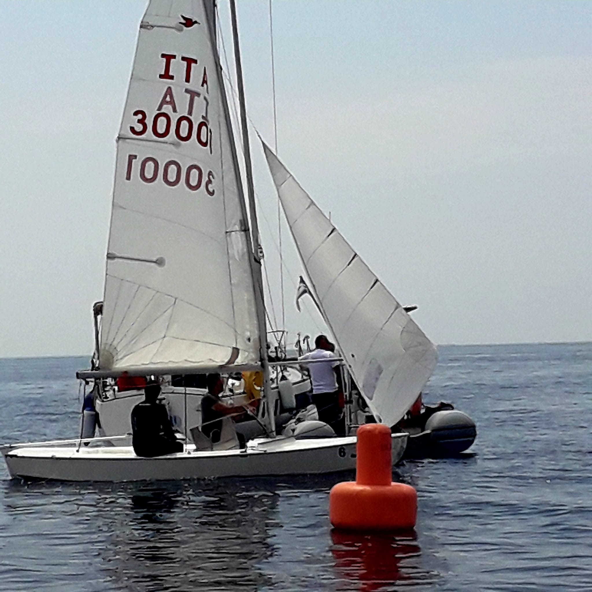 vda2023derive1Capolino